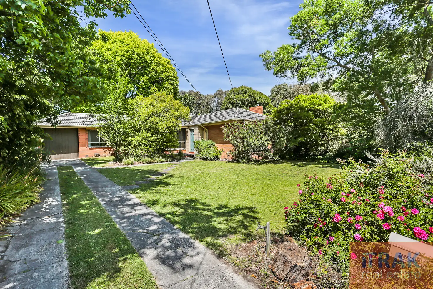 Main view of Homely house listing, 19 Melton Grove, Croydon VIC 3136