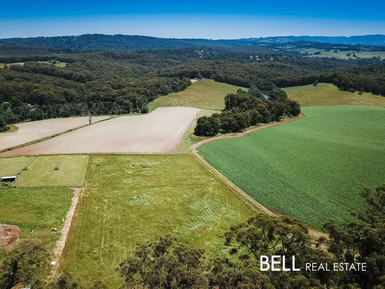 Fifth view of Homely land listing, 260 Mountain Road, Gembrook VIC 3783