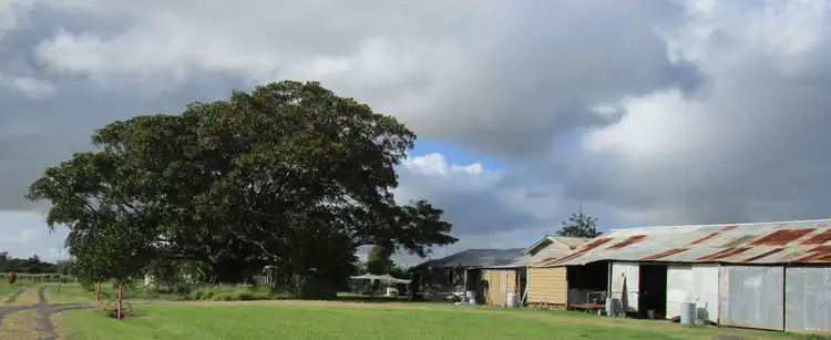 151 Gundurimba Road, Monaltrie NSW 2480