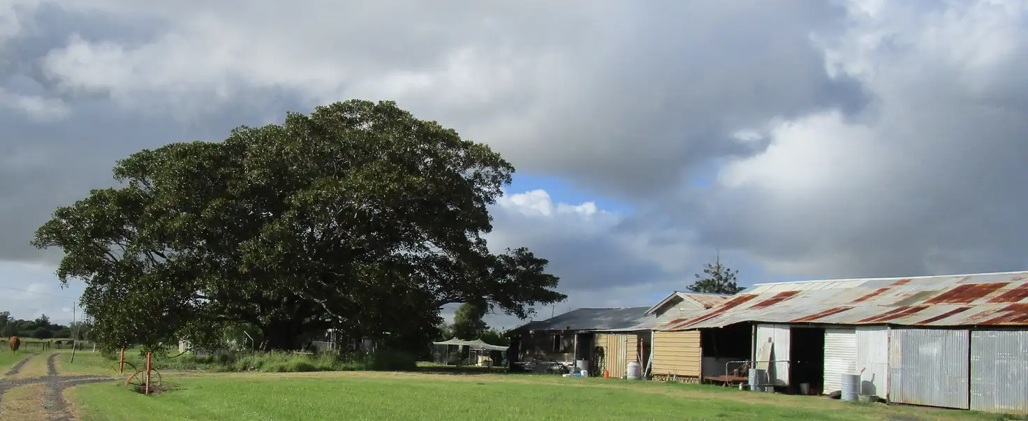 Main view of Homely rural property listing, 151 Gundurimba Road, Monaltrie NSW 2480