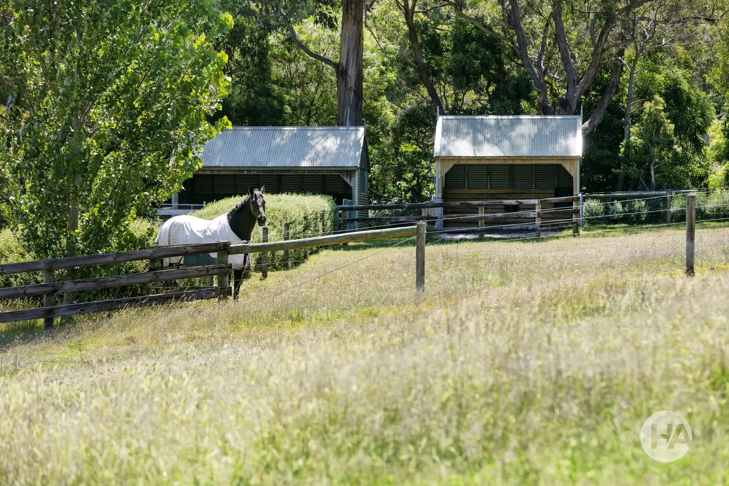Main view of Homely rural property listing, 156-158 Point Leo Road, Red Hill South VIC 3937