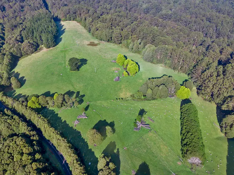Lot 2/1255 Skenes Creek Road, Apollo Bay VIC 3233
