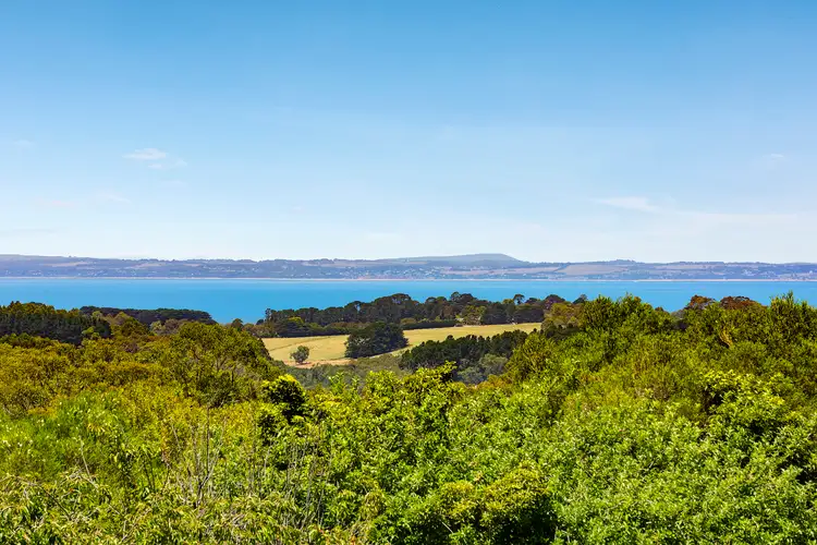 Second view of Homely house listing, 57 Shoreham Road, Red Hill South VIC 3937