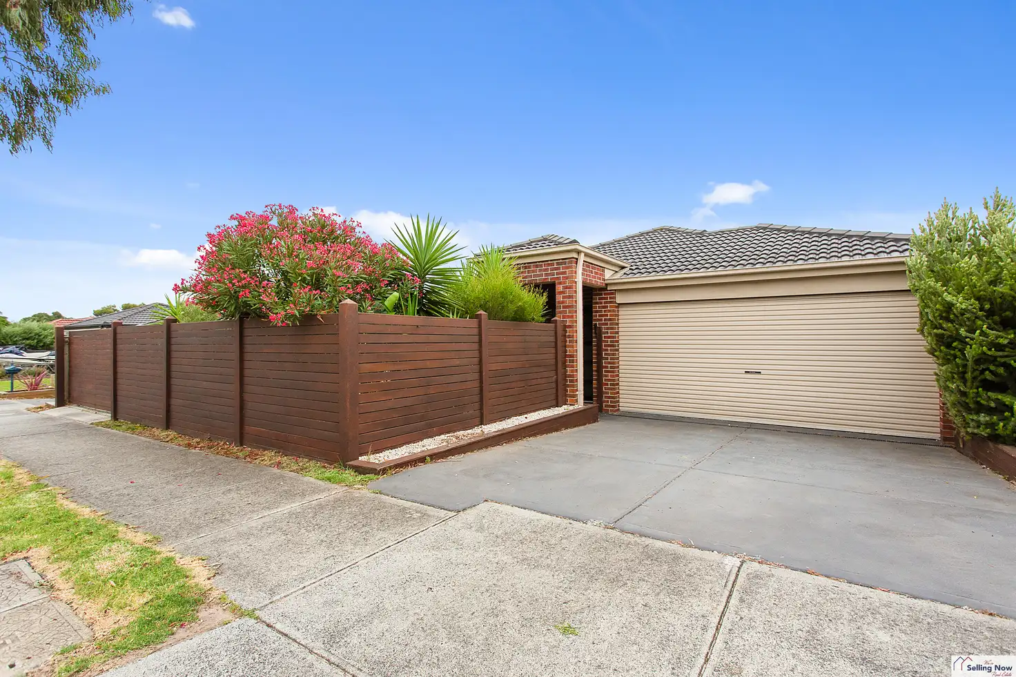Main view of Homely house listing, 11 Pip Street, Skye VIC 3977