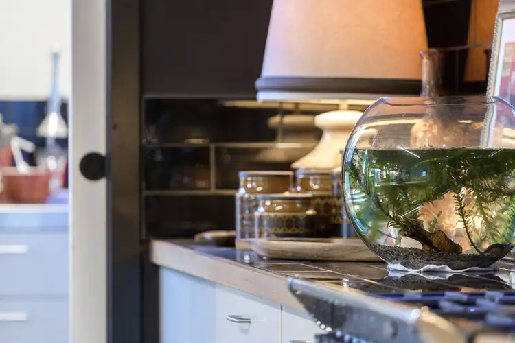 Sixth view of Homely house listing, 30 Chenier Street, Rye VIC 3941