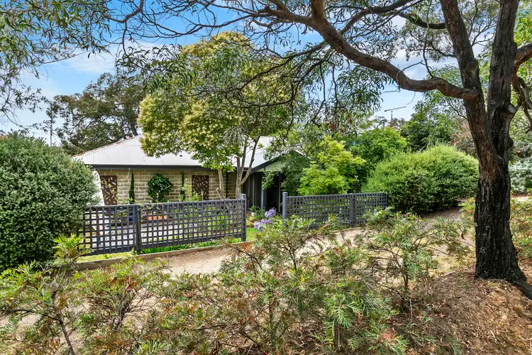 16 Charles Street, Anglesea VIC 3230