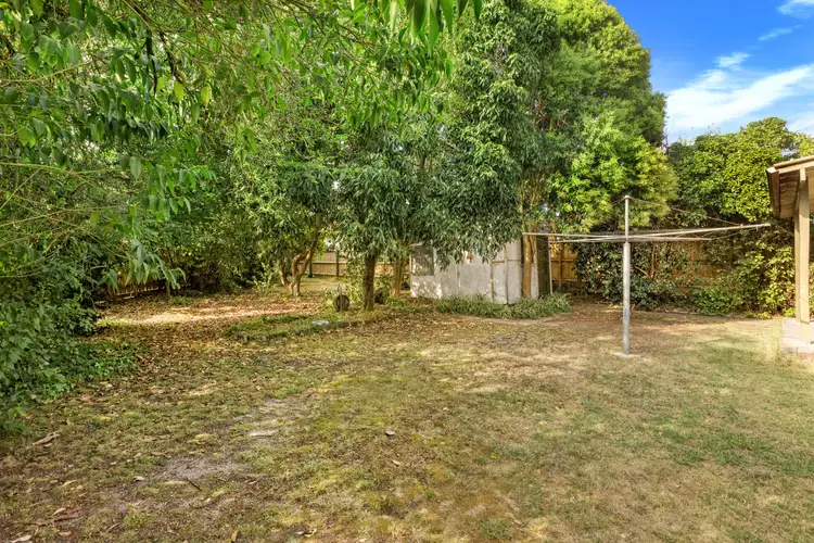 Fifth view of Homely house listing, 56 Barkly Street, Ringwood VIC 3134
