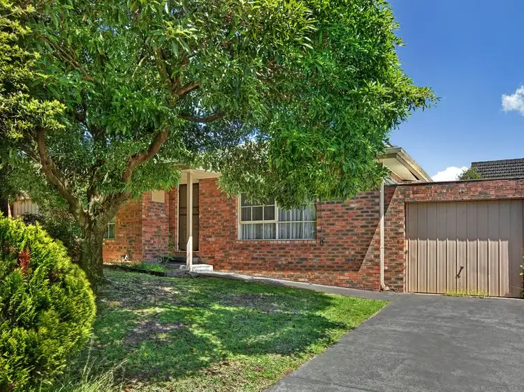 Main view of Homely unit listing, 10/14-18 Springvale Road, Nunawading VIC 3131