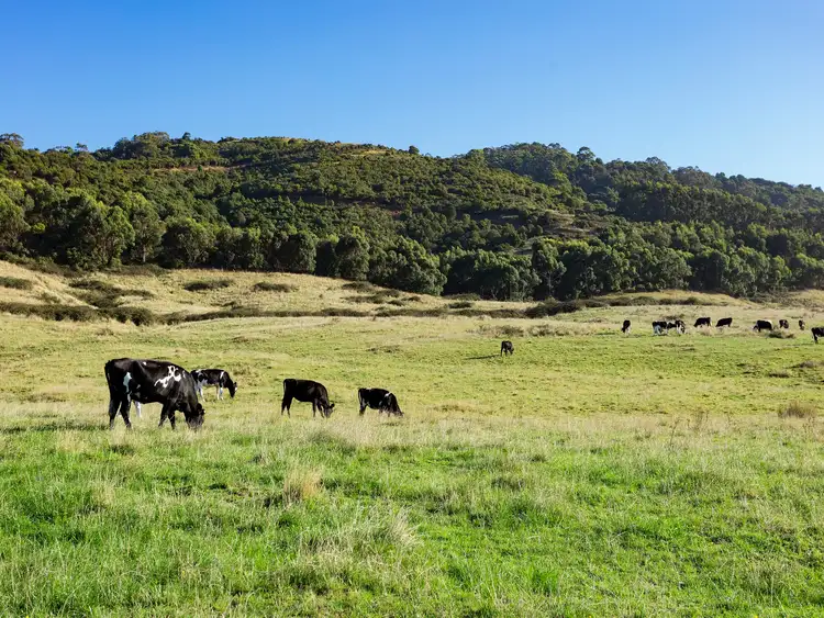Second view of Homely land listing, 49 Seeberg Court, Apollo Bay VIC 3233