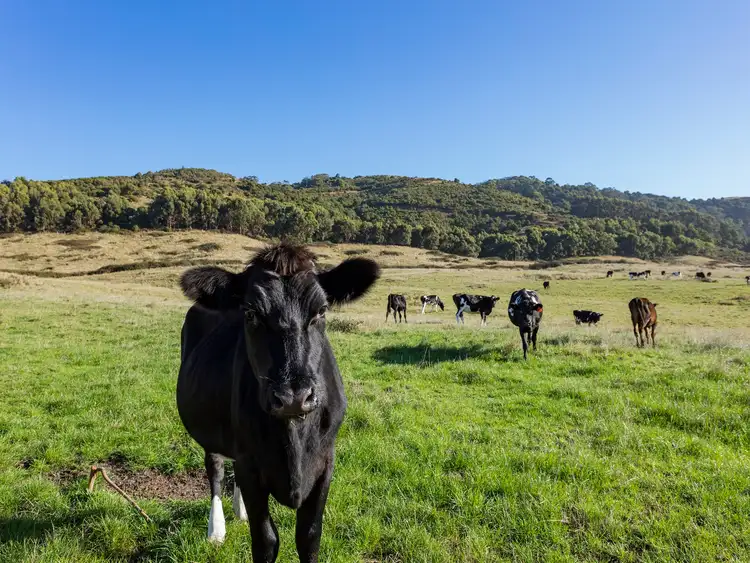 Fourth view of Homely land listing, 49 Seeberg Court, Apollo Bay VIC 3233