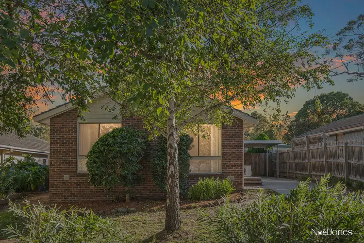 Main view of Homely house listing, 17 Hilda Avenue, Boronia VIC 3155
