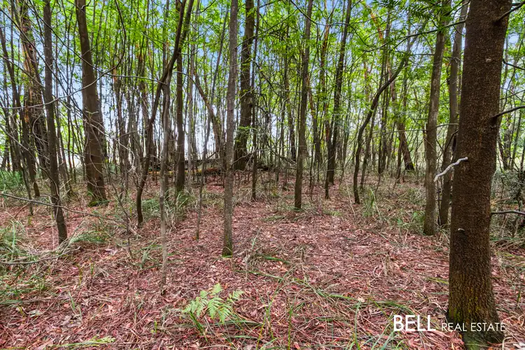 Fifth view of Homely land listing, 1920 Wellington Road, Clematis VIC 3782