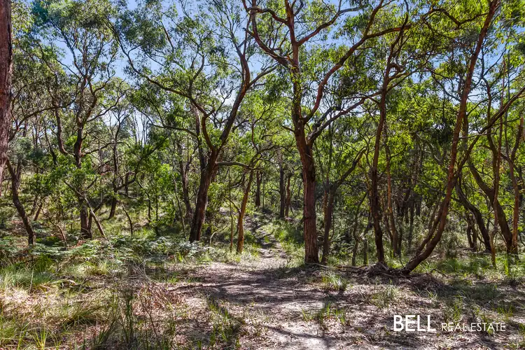 Fourth view of Homely land listing, 45 Kirkpatricks Road, Macclesfield VIC 3782