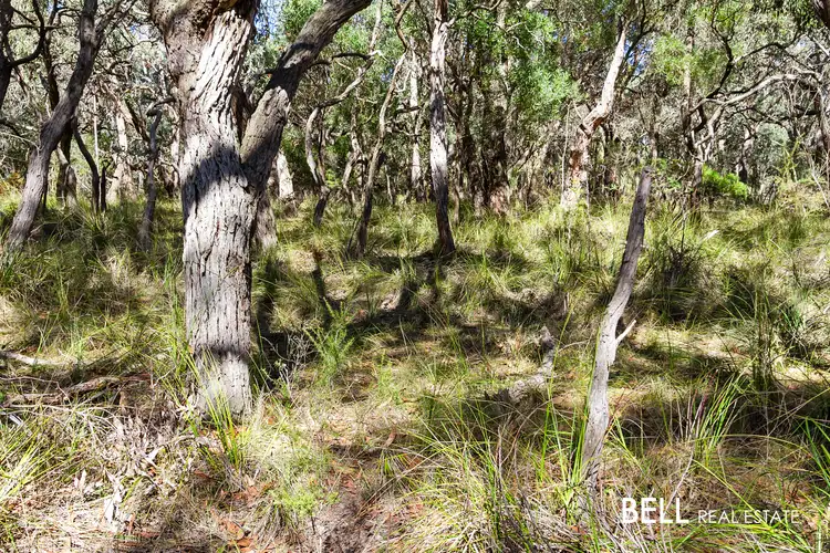 Fifth view of Homely land listing, 45 Kirkpatricks Road, Macclesfield VIC 3782