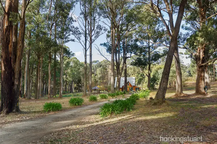 Second view of Homely house listing, 239 Dairy Flat Road, Musk VIC 3461