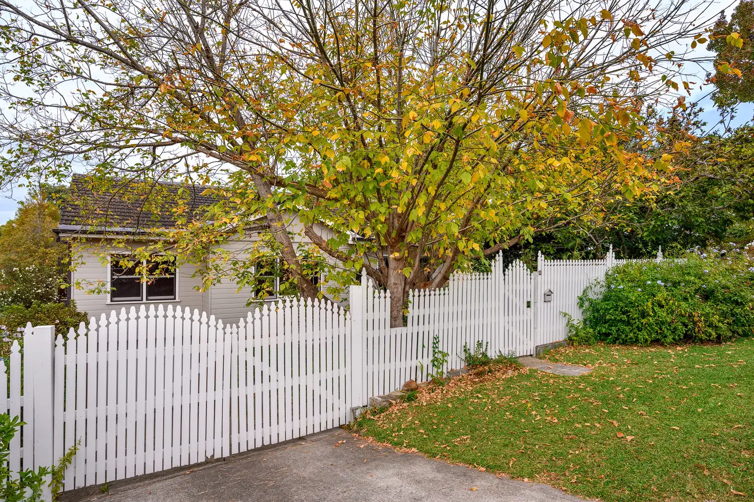 Main view of Homely house listing, 13 Springwood Avenue, Springwood NSW 2777