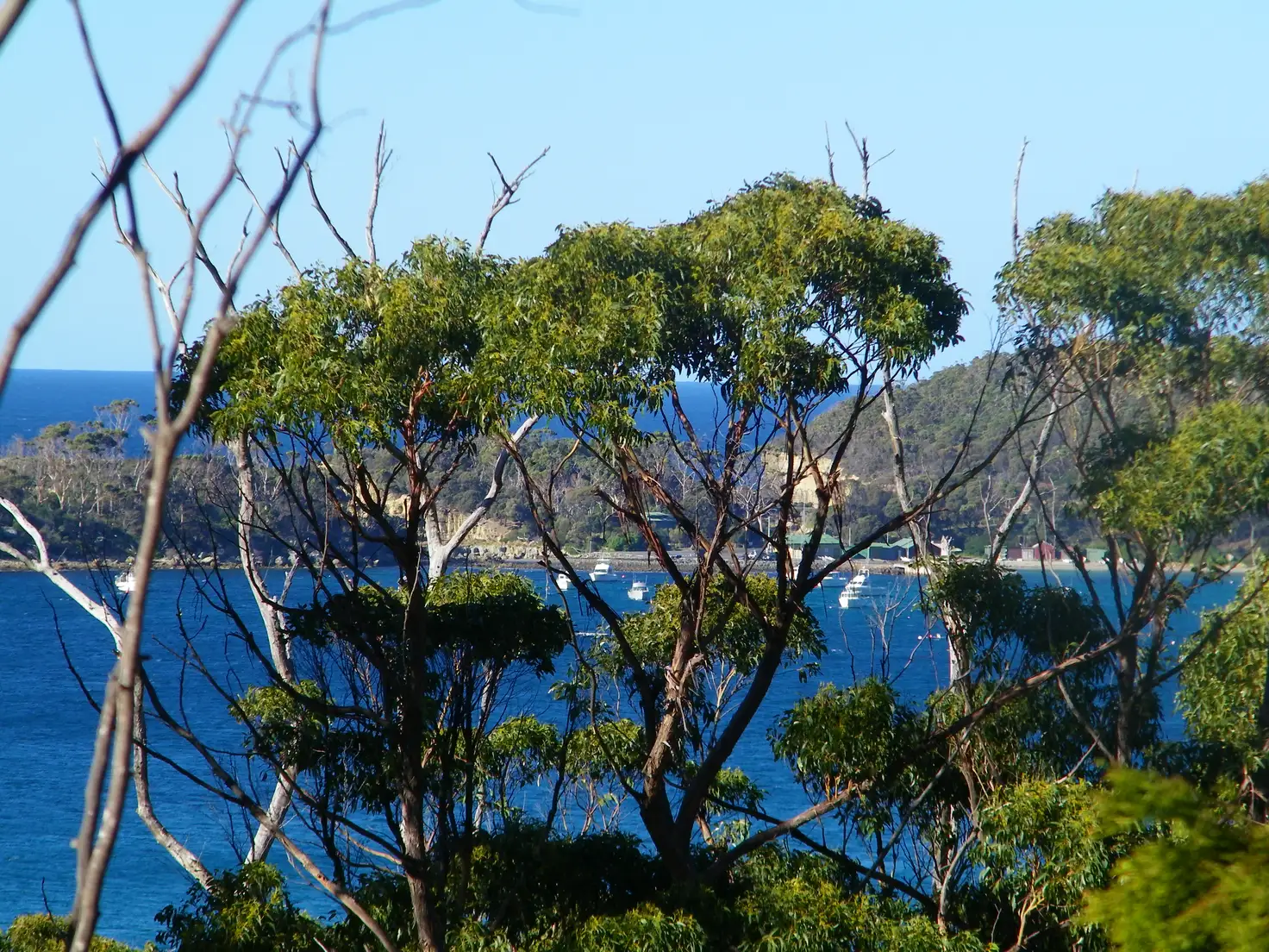 Main view of Homely land listing, 142 Blowhole Road, Eaglehawk Neck TAS 7179