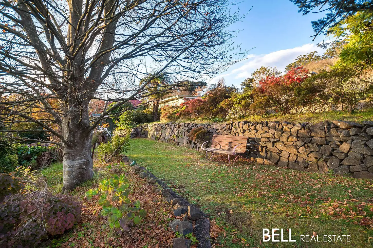 Main view of Homely house listing, 36 Breen Terrace, Ferny Creek VIC 3786