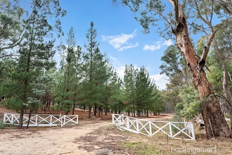 Main view of Homely land listing, Lot 5/386 Porcupine Ridge Road, Porcupine Ridge VIC 3461