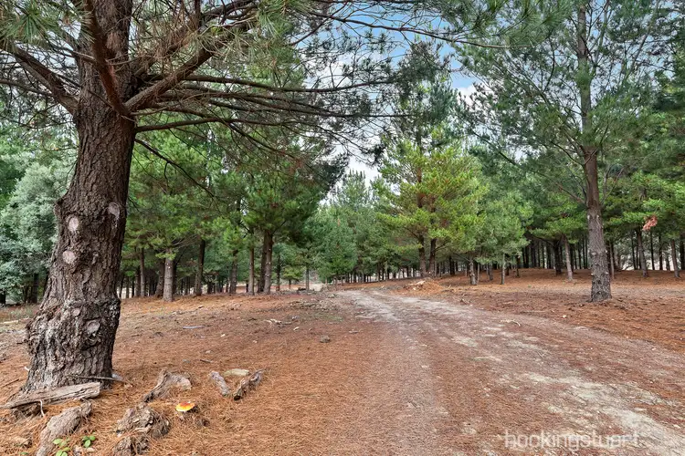 Fifth view of Homely land listing, Lot 5/386 Porcupine Ridge Road, Porcupine Ridge VIC 3461