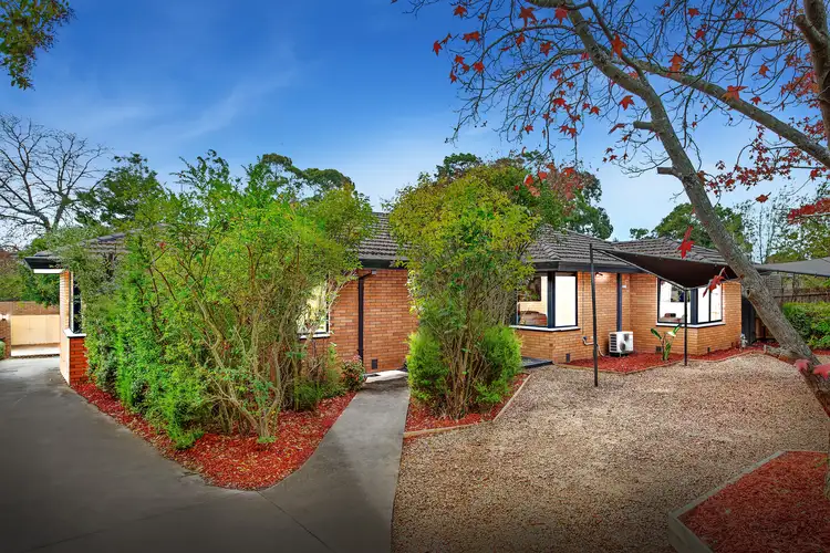 Main view of Homely house listing, 13 View Street, Croydon VIC 3136