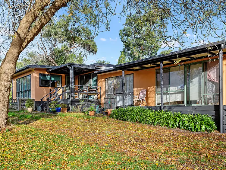 14 Newcombe Street, Marengo VIC 3233