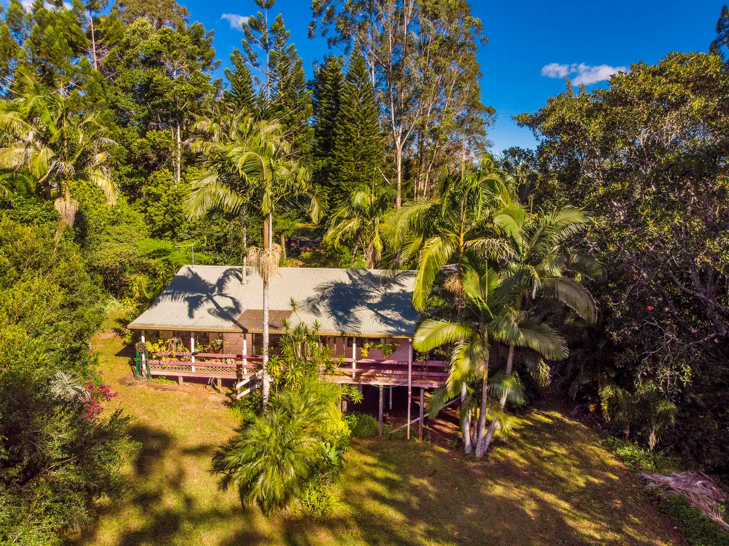 Main view of Homely house listing, 24 Basil Road, Nimbin NSW 2480