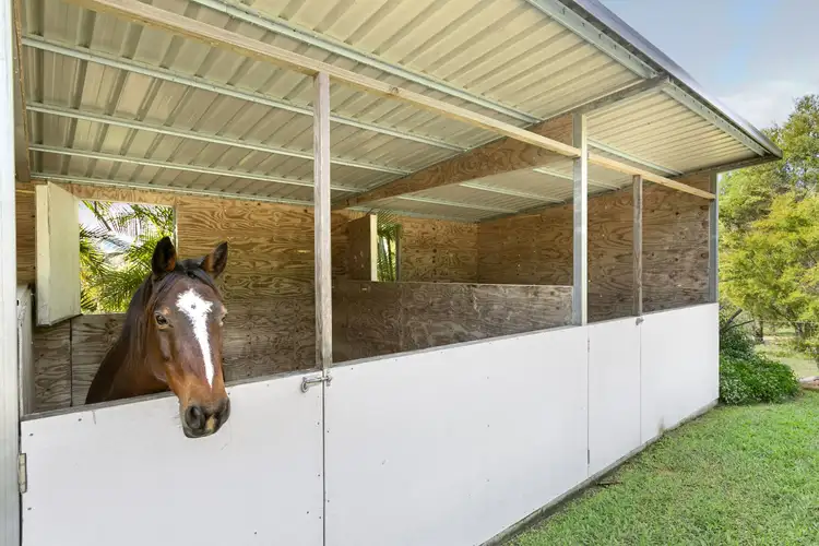 Fifth view of Homely rural property listing, 848 Eumundi Kenilworth Road, Belli Park QLD 4562