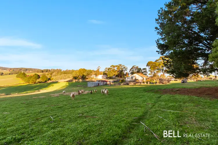 Fourth view of Homely house listing, 12 Ure Road, Gembrook VIC 3783