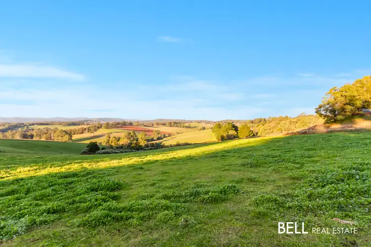 Fifth view of Homely house listing, 12 Ure Road, Gembrook VIC 3783