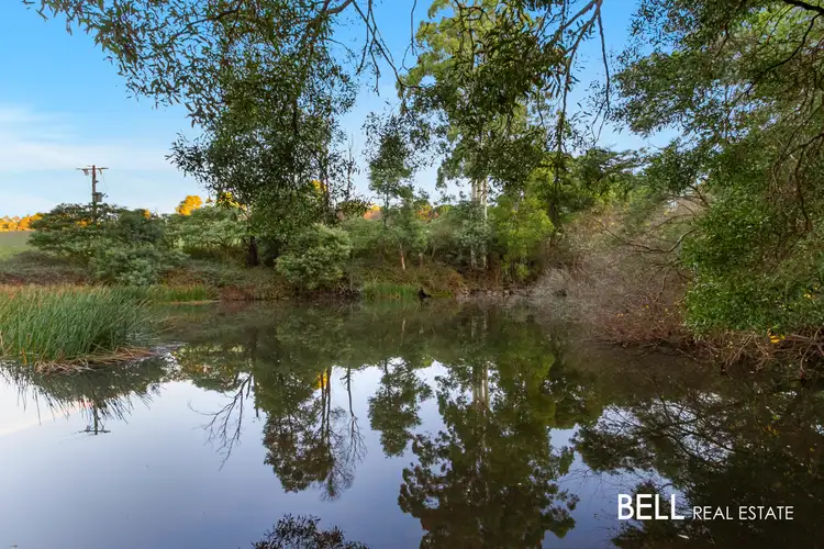 Seventh view of Homely house listing, 12 Ure Road, Gembrook VIC 3783
