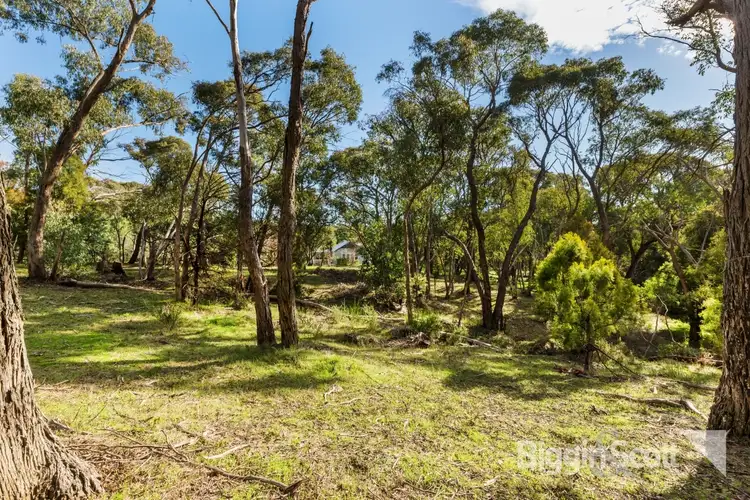 Fourth view of Homely land listing, 14 Second Street, Hepburn Springs VIC 3461
