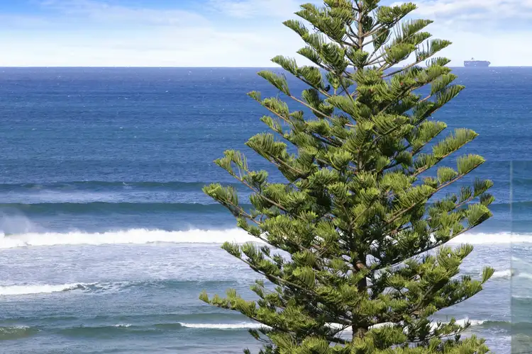 Fifth view of Homely unit listing, 4/49 Hodgson Street, Ocean Grove VIC 3226