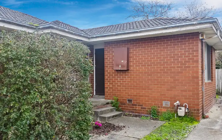 29 Francis Street