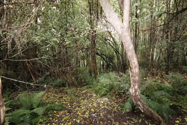 Third view of Homely land listing, Lot/1 Currawong Drive, Gembrook VIC 3783