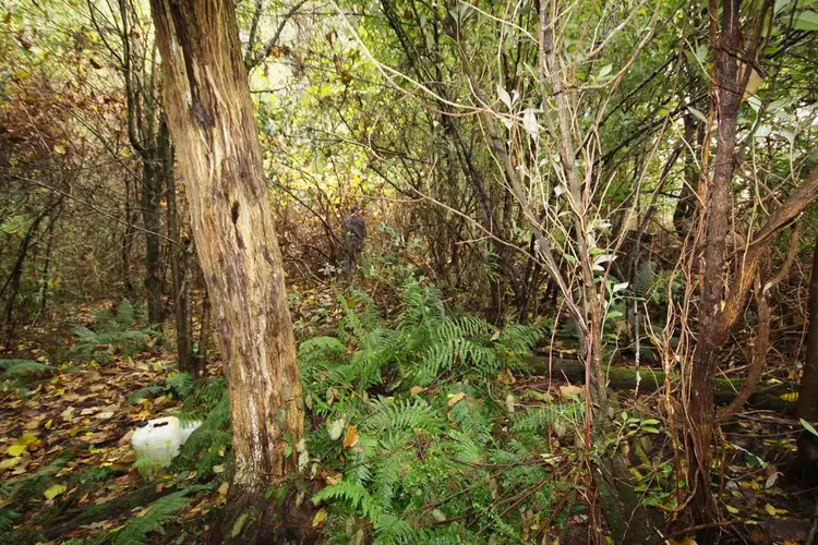 Fourth view of Homely land listing, Lot/1 Currawong Drive, Gembrook VIC 3783