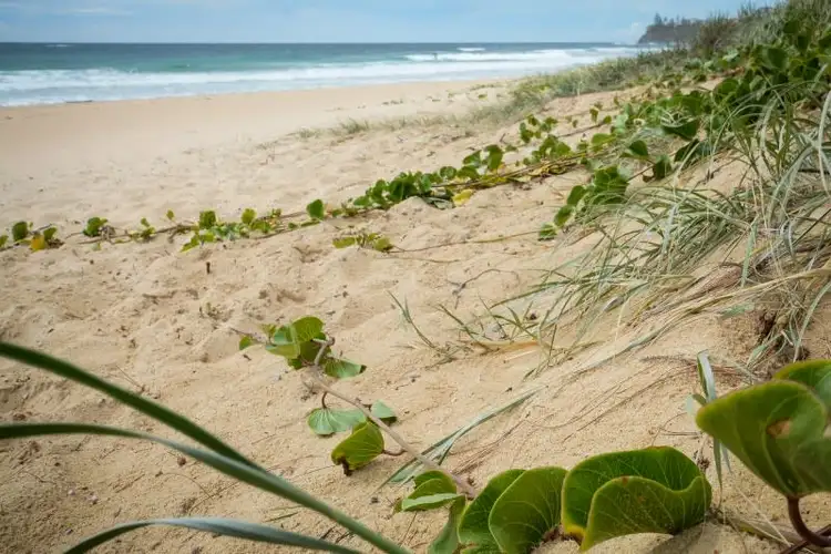 Third view of Homely unit listing, 36/6 Beerburrum Street, Dicky Beach QLD 4551