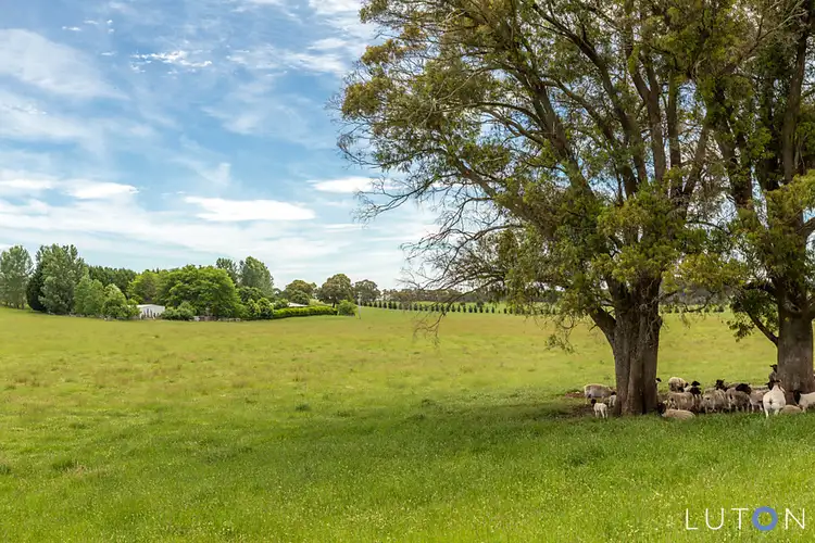 Third view of Homely rural property listing, 988 Charleys Forest Road, Braidwood NSW 2622