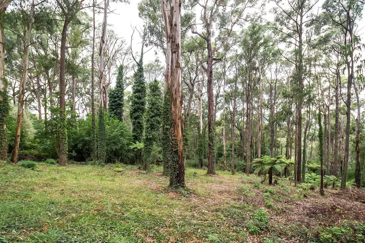 15 Olinda Creek Road, Kalorama VIC 3766