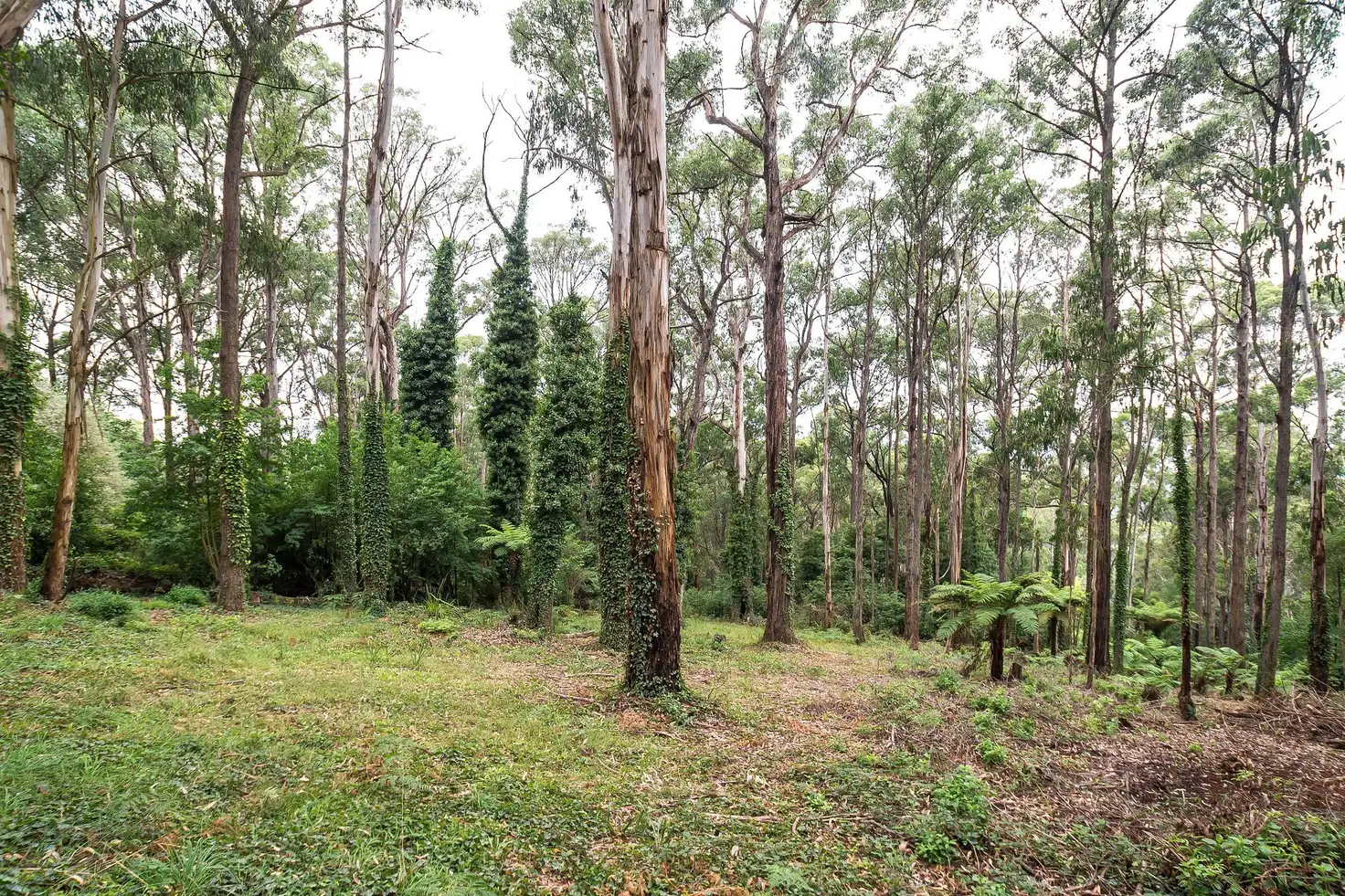 Main view of Homely land listing, 15 Olinda Creek Road, Kalorama VIC 3766
