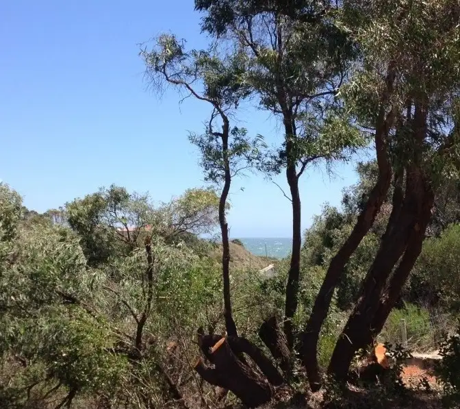 Third view of Homely land listing, 21 Aubrey Road, Myalup WA 6220