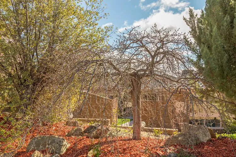 Fifth view of Homely house listing, 5 Stieglitz Circuit, Kambah ACT 2902