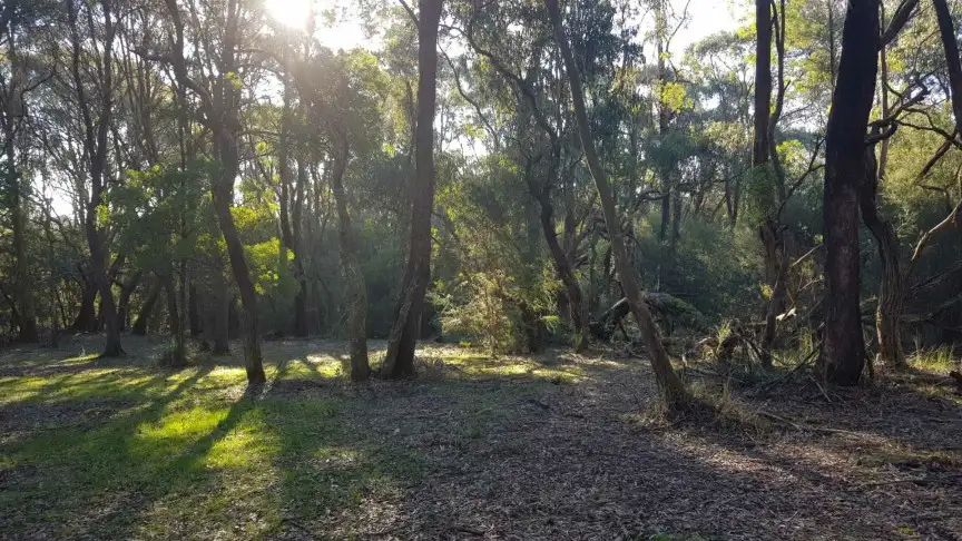 Main view of Homely land listing, 10 Bedford Road, Cockatoo VIC 3781