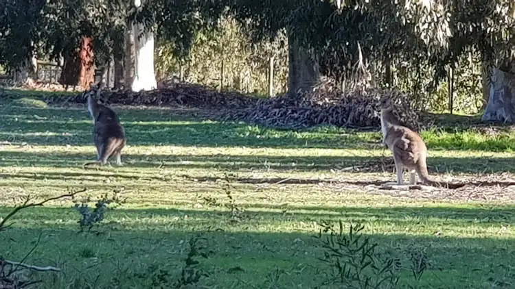 Third view of Homely land listing, 10 Bedford Road, Cockatoo VIC 3781