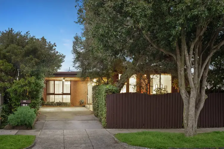 31A Newlyn Street, Caulfield VIC 3162