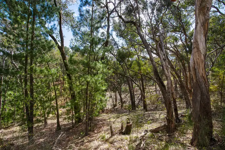 Fourth view of Homely land listing, 16 Range Road, Hepburn Springs VIC 3461