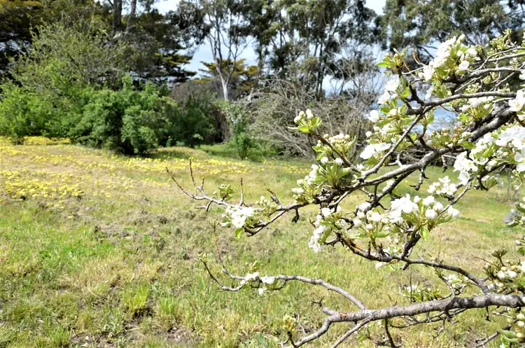 Fifth view of Homely land listing, 2 Lothair Street, Clunes VIC 3370