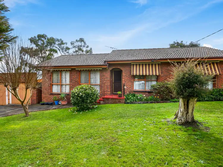 Main view of Homely house listing, 333 Warburton Highway, Wandin North VIC 3139