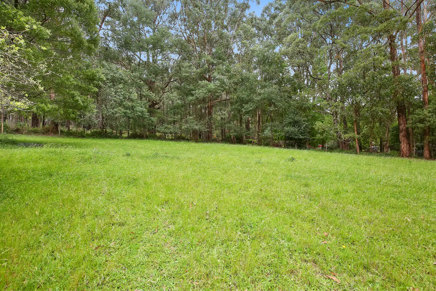 Main view of Homely house listing, 1499 Little Yarra Road, Powelltown VIC 3797