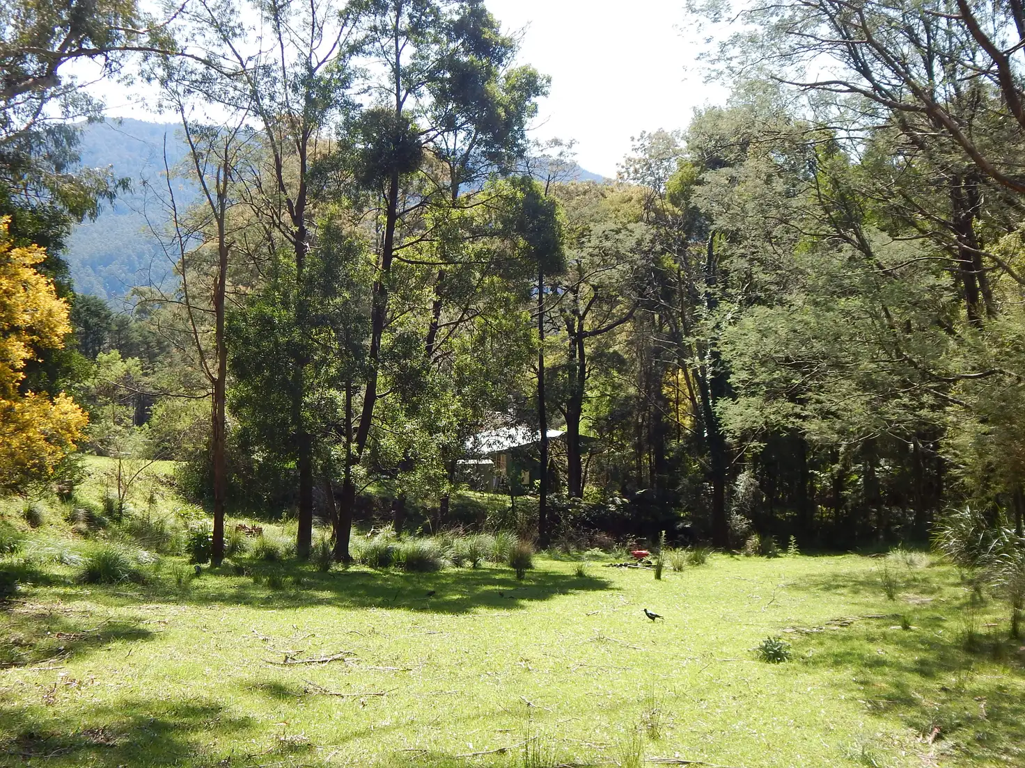 Main view of Homely land listing, 15A Old Warburton Road, Warburton VIC 3799